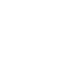 premier league